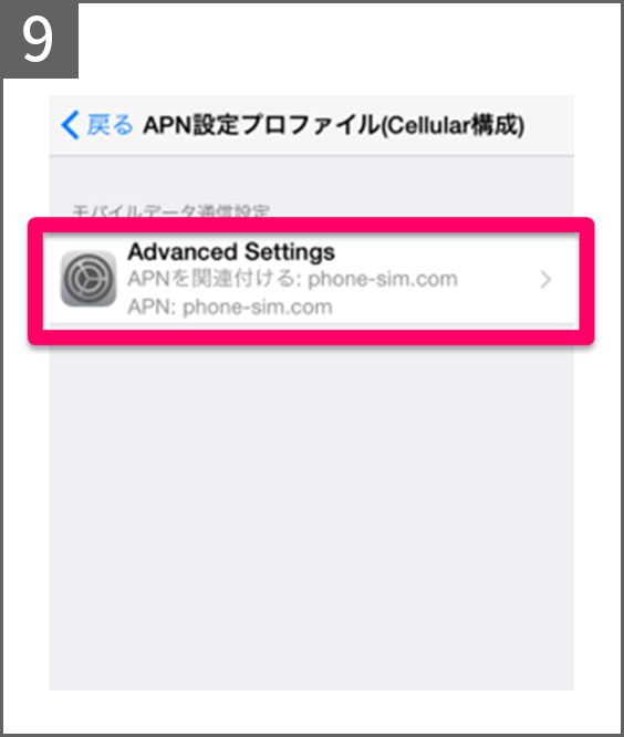 手順9 「Advanced Settings」