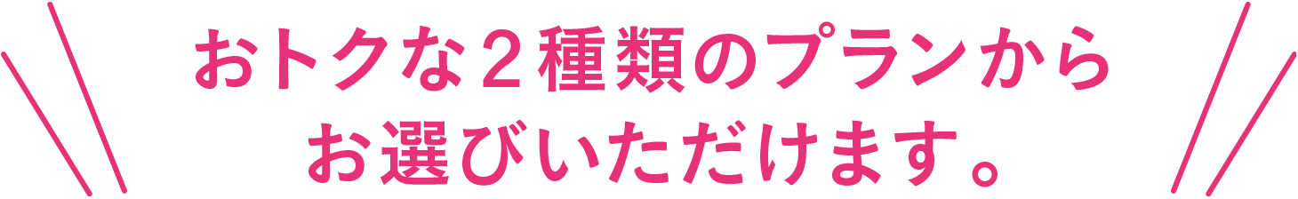 おトクな２種類のプランからお選びいただけます。