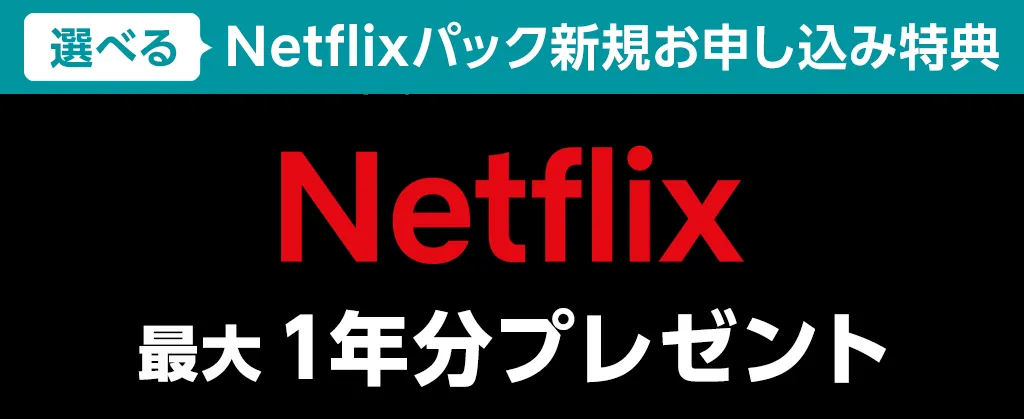 eo光NetflixパックスタートキャンペーンA