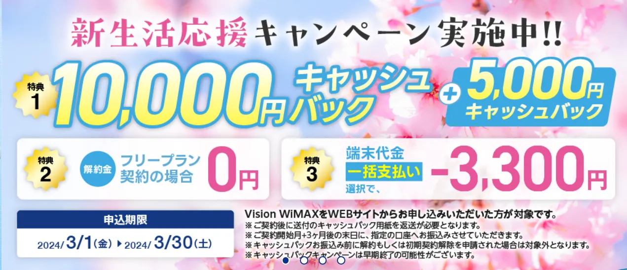 Vision WIMAX　キャンペーン