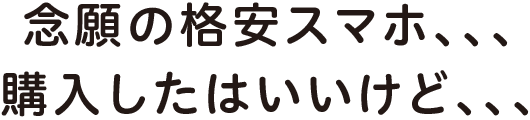 念願の格安スマホ、、、購入したはいいけど、、、