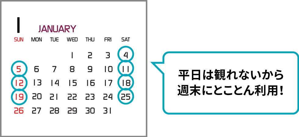 平日は観れないから週末にとことん利用！