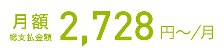 月額総支払金額 2,728円～/月