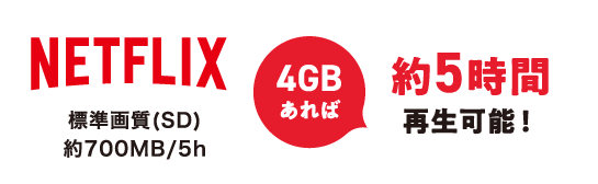Netflix 標準画質(SD) 約700MB/5h 4GBあれば 約5時間再生可能!