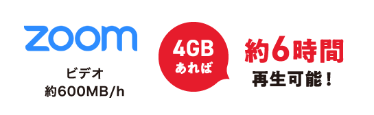 ZOOM ビデオ 約600MB/h 4GBあれば 約6時間再生可能!