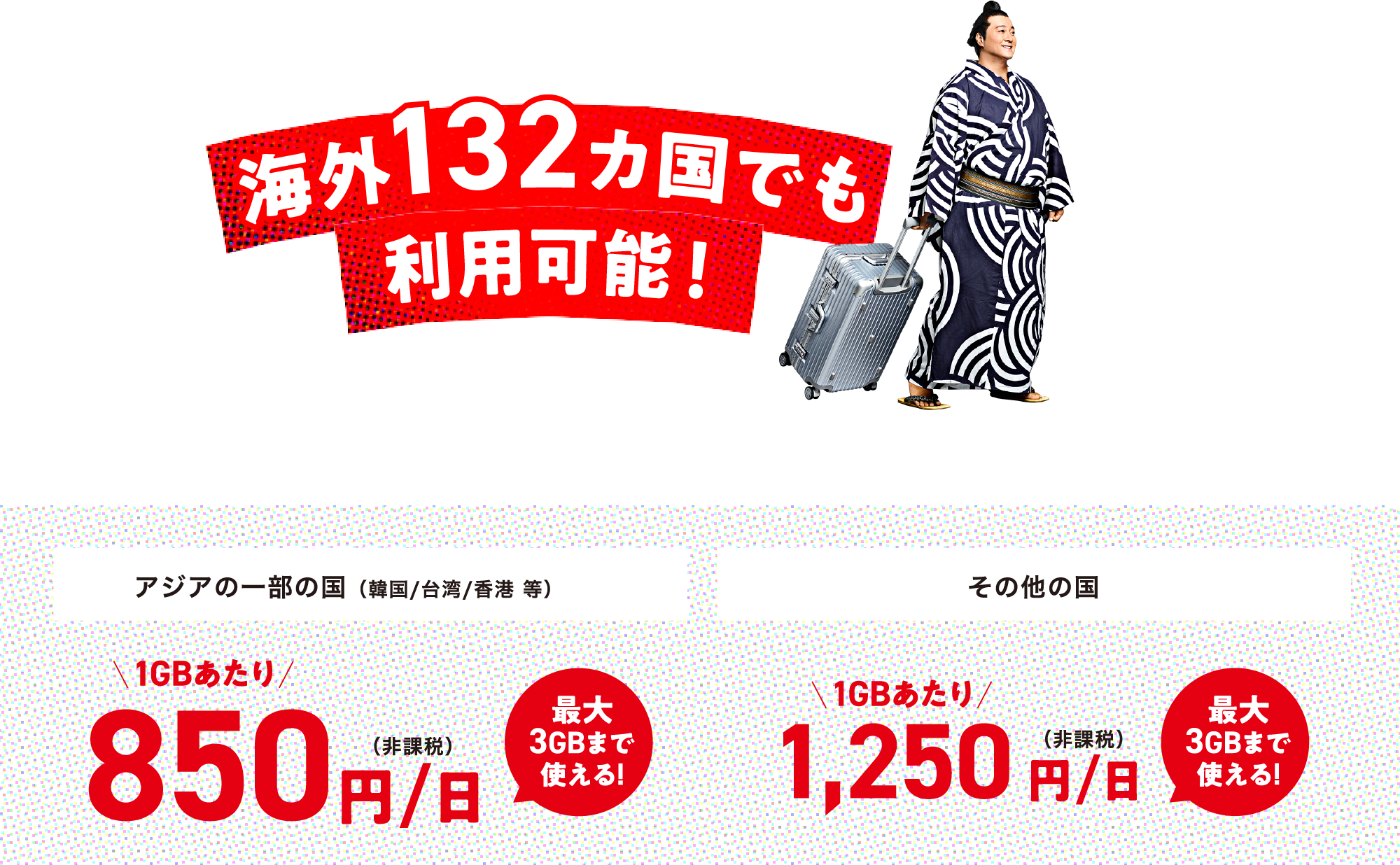 海外132カ国でも利用可能!
