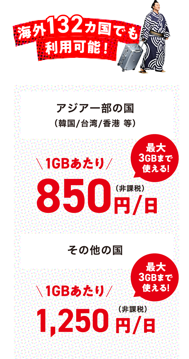 海外132カ国でも利用可能!