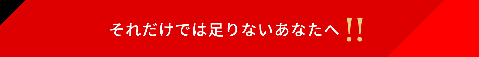 それだけでは足りないあなたへ!!