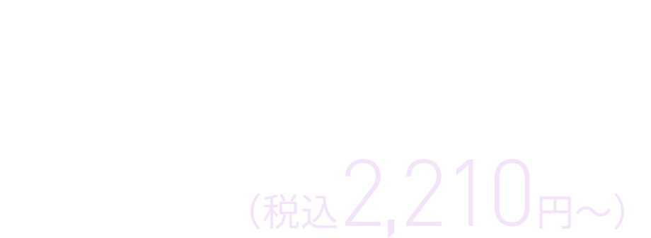 月額2,009円(税抜)（税込2,210円〜）
